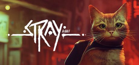 四年前的今天,《Stray》讓我們都想養一隻會走鋼索的貓