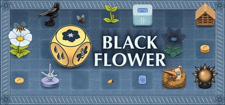 《Black Flower》8月17日上市:養一朵黑色花,知識才是你唯一的升級路線